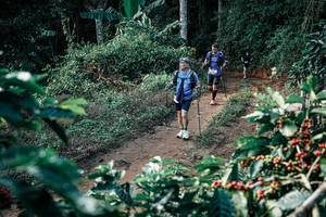 BIB: 
                            <button type="button" onclick="openModal(25855116)" class="btn btn-primary btn-sm float-right btn-popup" data-toggle="modal" data-target=".modal-high-quality">
                        <i class="fas fa-shopping-cart"></i> Add to Cart
                    </button>
                                            <button type="button" onclick="isThisMe(25855116, true)" class="btn btn-success btn-sm float-right btn-popup btn-isme hidden" data-toggle="tooltip" data-placement="bottom" title="นี่คือรูปของคุณใช่ไหม คลิกที่นี่เพื่อเอาเข้าอัลบั้ม">
                        <i class="fas fa-plus"></i> Add to album
                    </button>
                    <button type="button" onclick="isThisMe(25855116, false)" class="btn btn-warning btn-sm float-right btn-popup btn-isnotme hidden">
                        <i class="fas fa-ban"></i> Remove from album
                    </button>